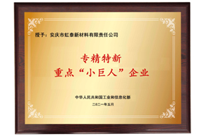 國家重點“小巨人”企業